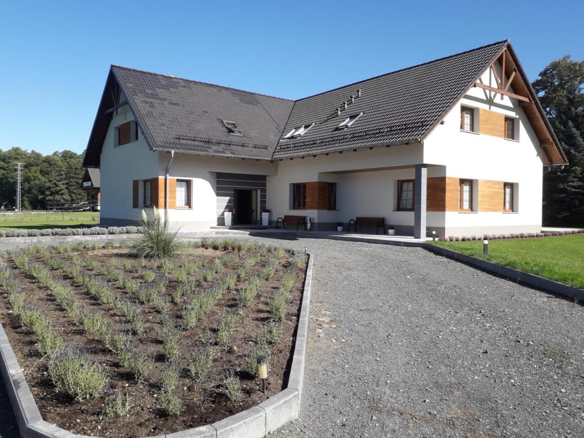 Agroturystyka Aura Kostrzyca Exterior photo
