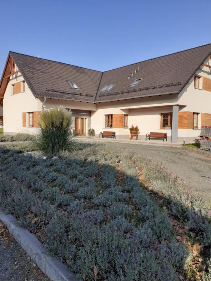 Agroturystyka Aura Kostrzyca Exterior photo