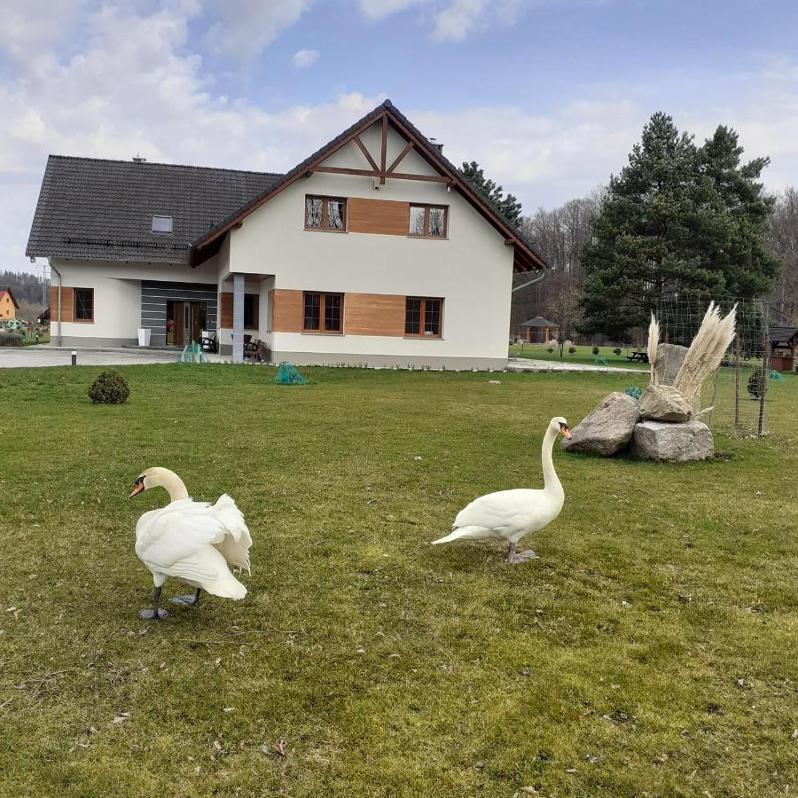 Agroturystyka Aura Kostrzyca Exterior photo